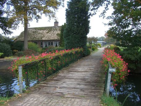 Helenaveen : Soemeersingel, Herbstimpressionen